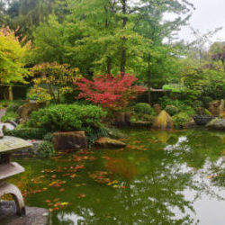 Giardini zen